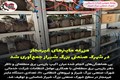 کشف و جمع‌آوری دستگاه‌های ماینر غیرمجاز در شهرک صنعتی بزرگ شیراز