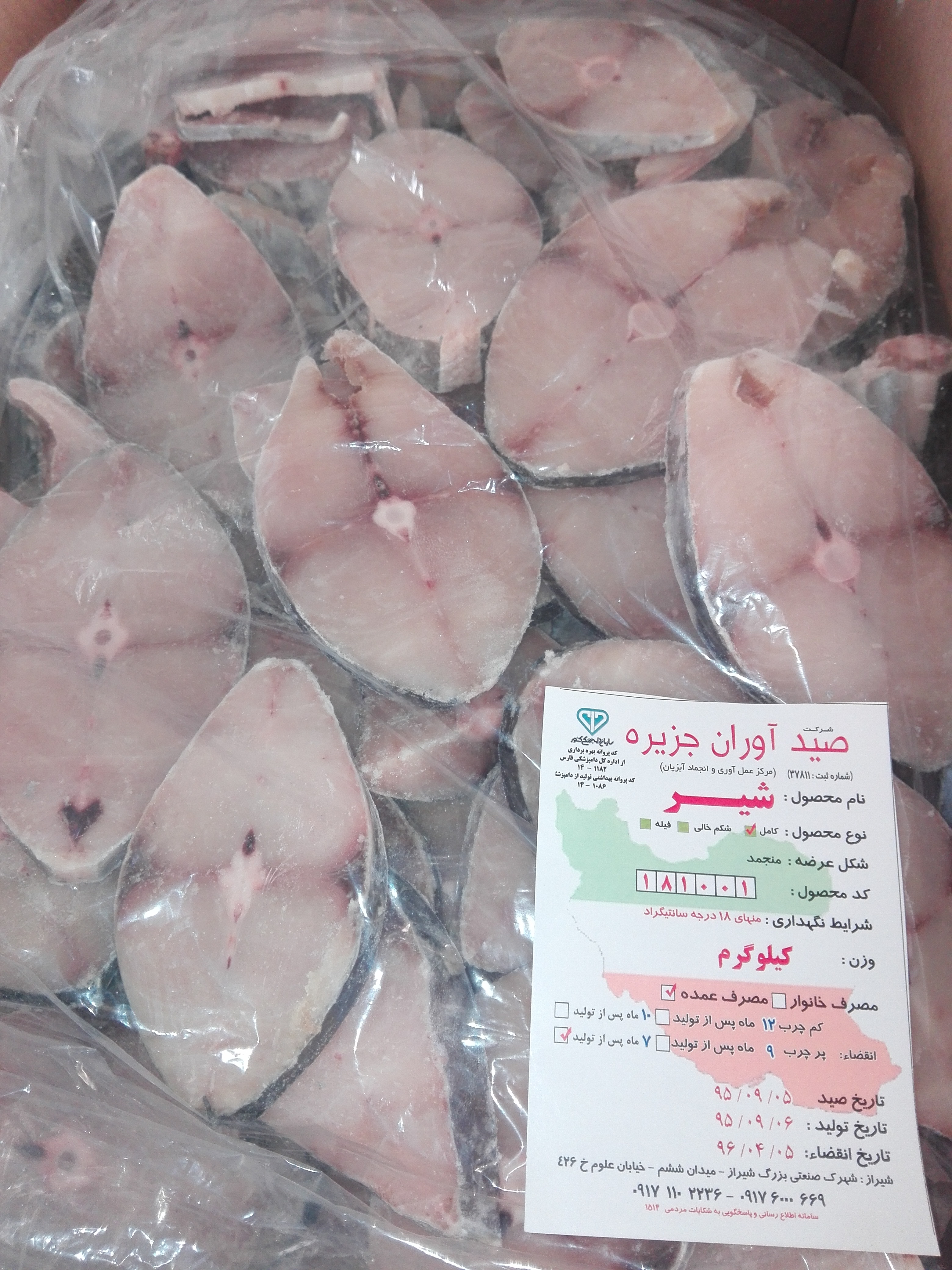 ماهی( شیر برش کالباسی)