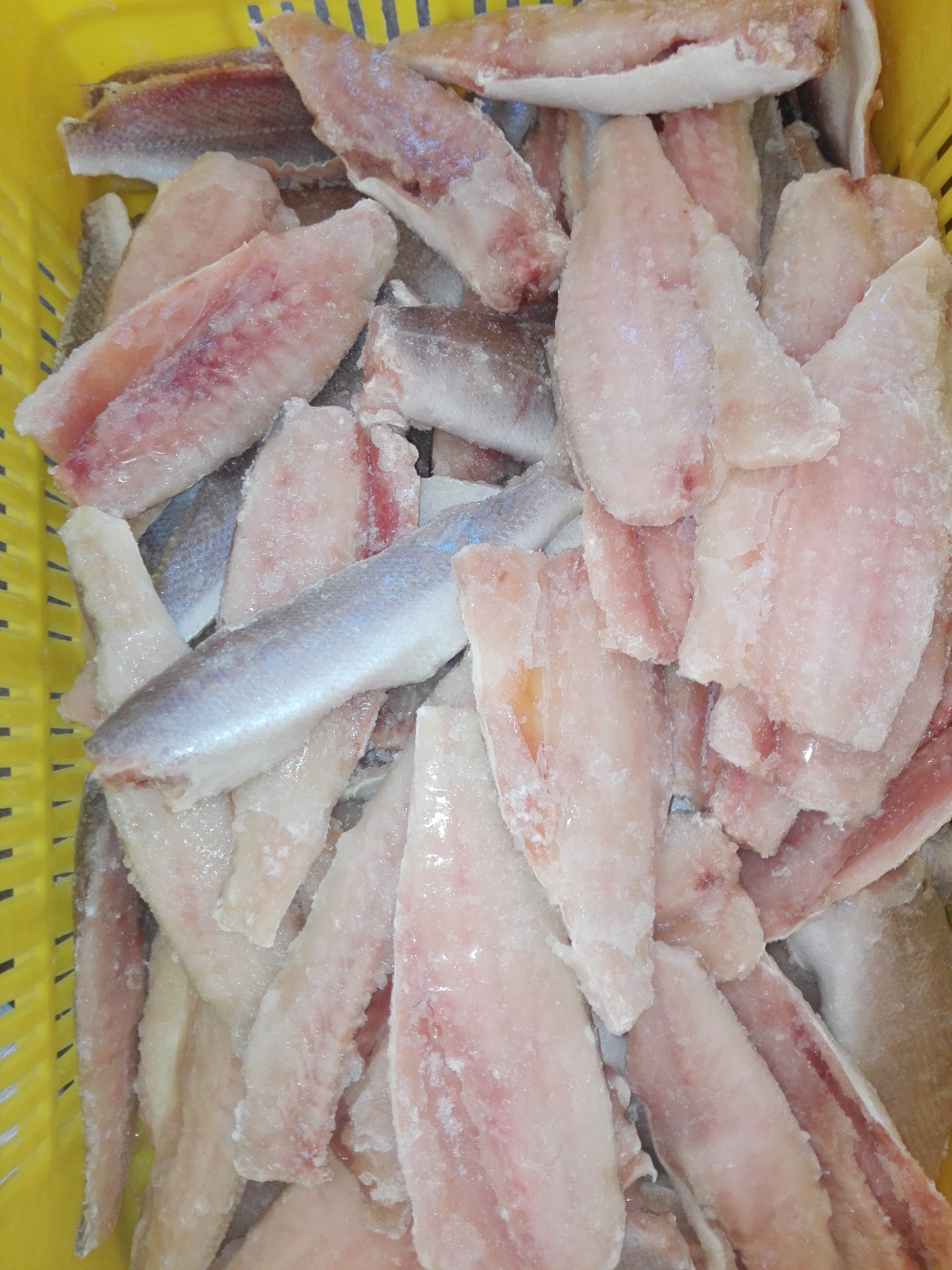 استیک شوریده